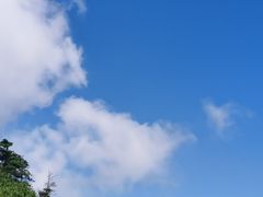 -玉苍山国家森林公园