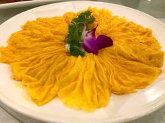 黄埔炒蛋-姚林轩