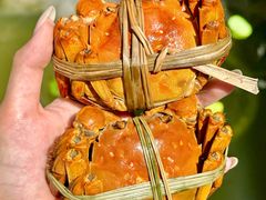 -蟹村草堂·苏式园林人文农家·大闸蟹