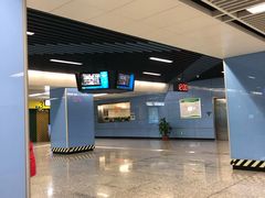 -大龙山(地铁站)