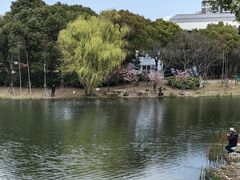 -新江湾城公园