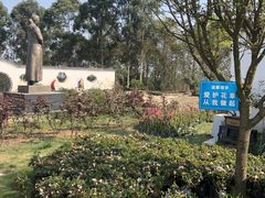 -都江堰玫瑰花溪谷