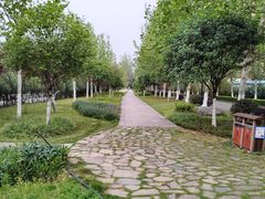 -大渡口区义渡公园