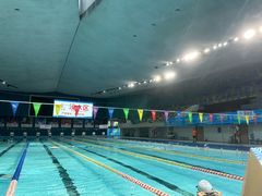 -重庆市奥林匹克体育中心-游泳跳水馆