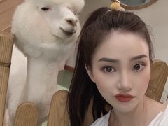 -藦茜花园宠物主题亲子互动体验馆(国顺东路店)