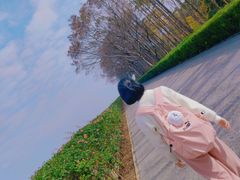 -上海滨江森林公园