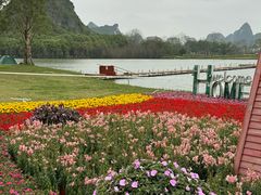 -南宁花花大世界景区