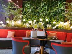 点击看大图 -花隐·美芙炫海菲秀皮肤管理中心