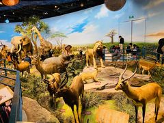 -陕西自然博物馆