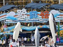 -海合安成都极地海洋公园