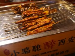 烤肉-福苗小骆驼烧烤(曲江店)