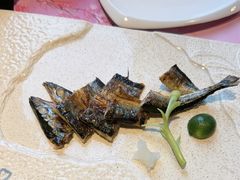 -黑松白鹿(金融街店)