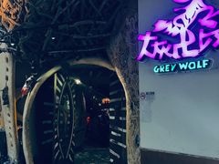 -大灰狼(中心书城店)