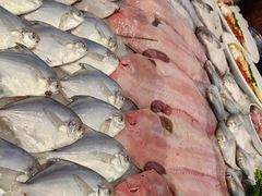 -山东八大碗山东老字号