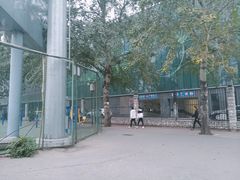 -中央民族大学