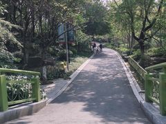 -青枫公园