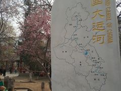 -桃花堤公园