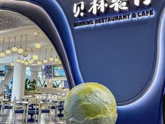 -贝林大翅鲸简餐厅(国家海洋博物馆店)