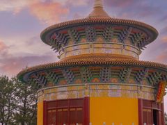 -铁山坪森林公园