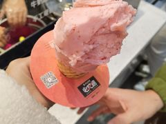 -野人先生现做冰淇淋(西安赛格店)