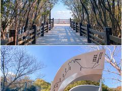 -上海吴淞炮台湾国家湿地公园