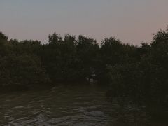 -宝安西湾红树林湿地公园