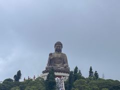 -九龙公园