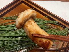 -慈云斋·24节气素食