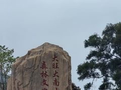 -佛山市三水区大南山森林公园