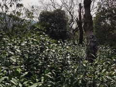 -缥缈峰景区