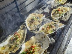 -山野的朋友露营炭火烤肉