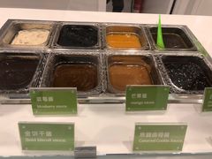 -Salud撒露欧洲冻酸奶(五道口购物中心店)