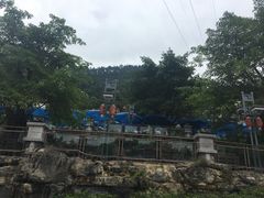 -老幺泉水鸡