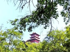 -终南山国家森林公园