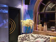 -Darling Queen·Mini·Live·House