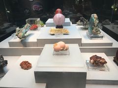 -湖南省地质博物馆