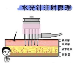 -上海玫瑰医疗美容医院