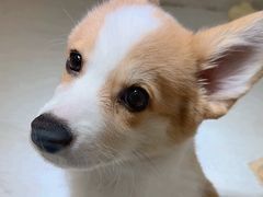 -乐宠宠物店(世纪金源店)