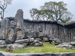-武汉动物园