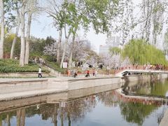 -海棠花溪(元大都城垣遗址公园)