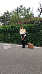 -大宇叔叔儿童摄影