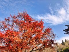 -庐山风景名胜区