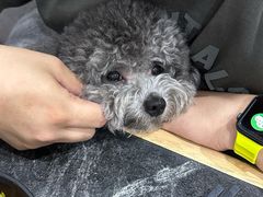 -林记潮牛·牛肉火锅(上马墩店)