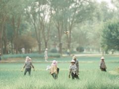 -北坞公园