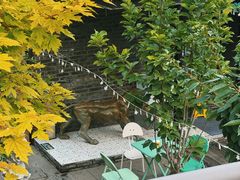 -糖房咖啡(南锣鼓巷店)