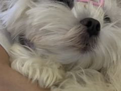 -三亚亚龙湾美高梅度假酒店FUN动冲浪