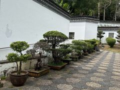 -九龙寨城公园