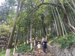 -莫干山风景区