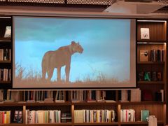 -二酉书店TOYOU BOOKS