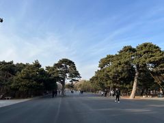 -北陵公园